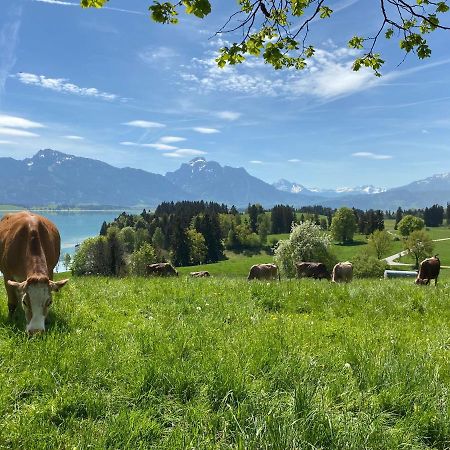 Best Butler Boho Boutique City Apartment Netflix Füssen Exterior foto